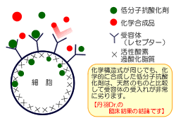 レセプター